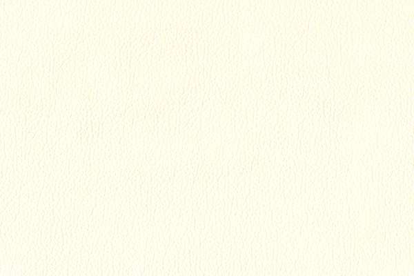 Basic Shell White
