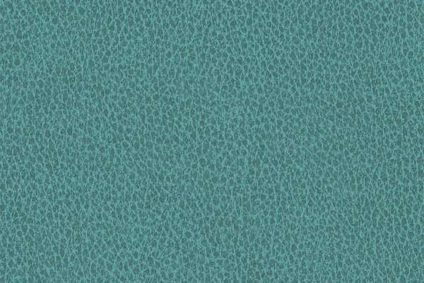 Biograin Pooltide