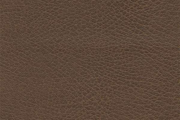 Brisa Distress Bridle