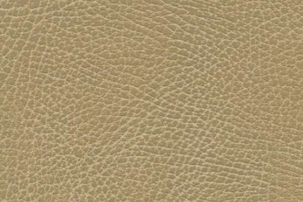 Brisa Distress Buckskin