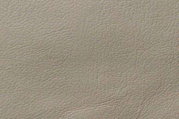 Showcase Eco Leather Cloudy