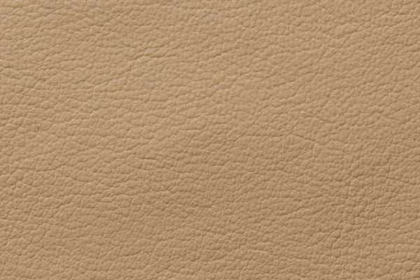 Showcase Eco Leather Bonton