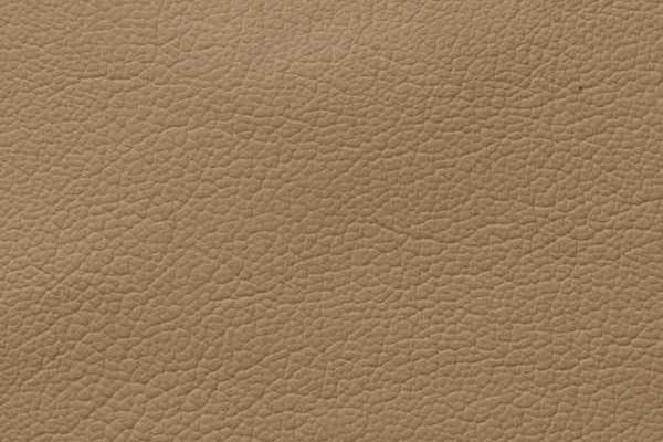 Showcase Eco Leather Greige