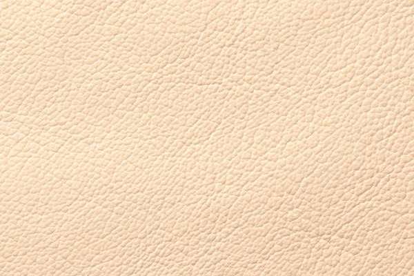 Showcase Eco Leather Cream