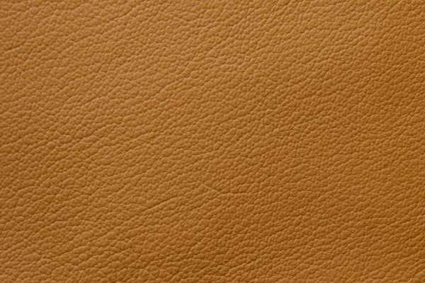 Showcase Eco Leather Luggage