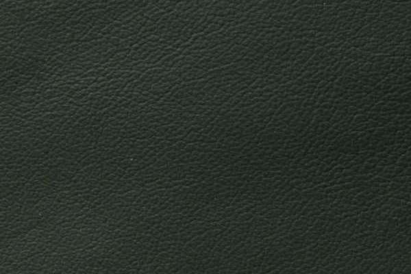 Showcase Eco Leather Evergreen