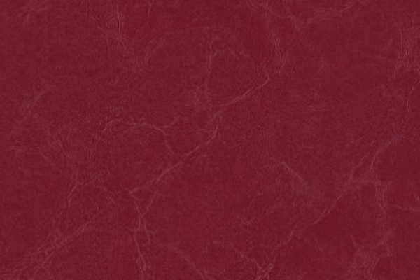 Celebrity Cv Carmine