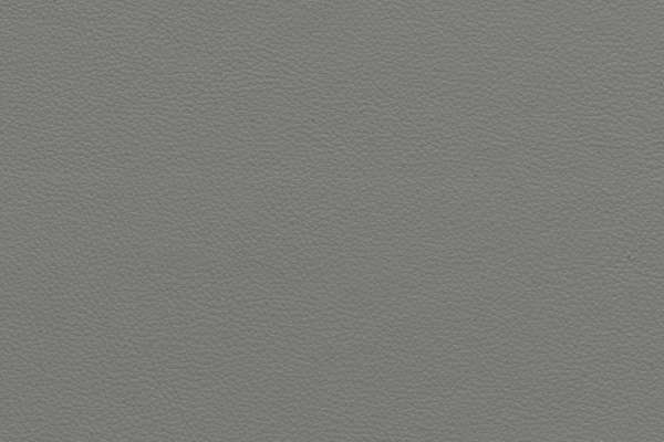 Azzurro Leather Epson