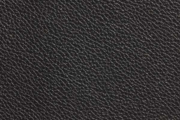 Edelman Leather Black