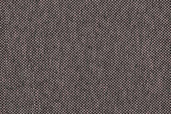 Rivet Woodrose 