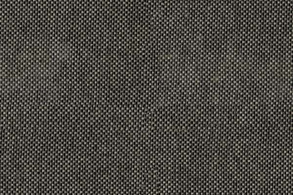 Rivet Otter