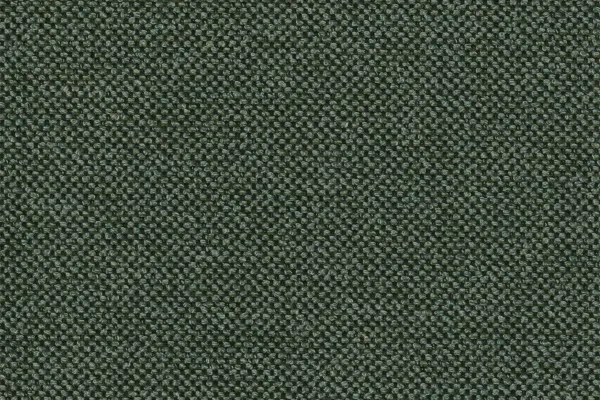 Ground Cover Conifer