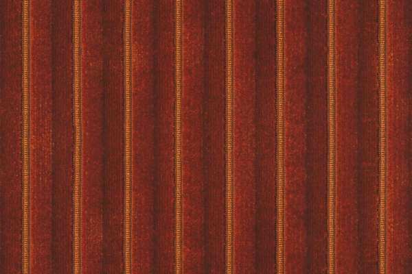 Velvet Cord Raw Sienna