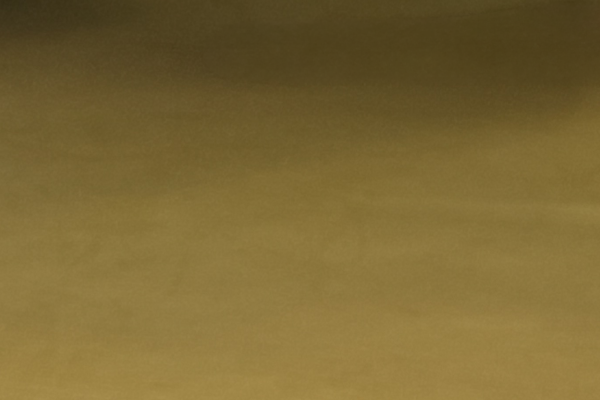 BA-91 Polished Gold (PVD)