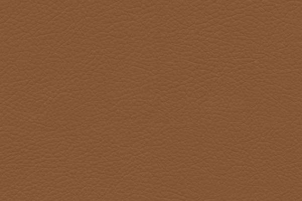 Premier Cinnamon