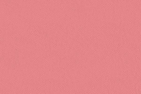 California Dragonfruit