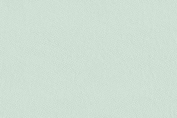 California Duck Egg Blue