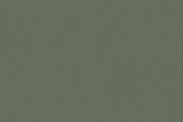 California Evergreen