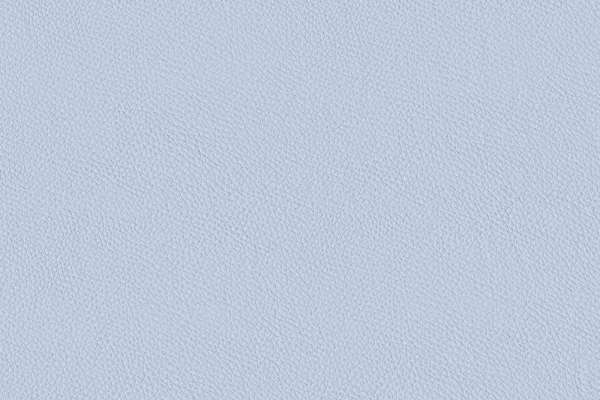 California French Lilac