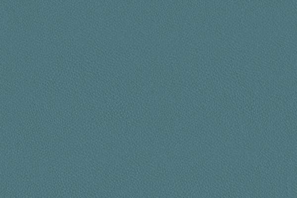 California Galapagos