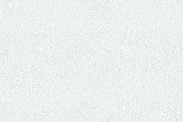 California Glass Slipper