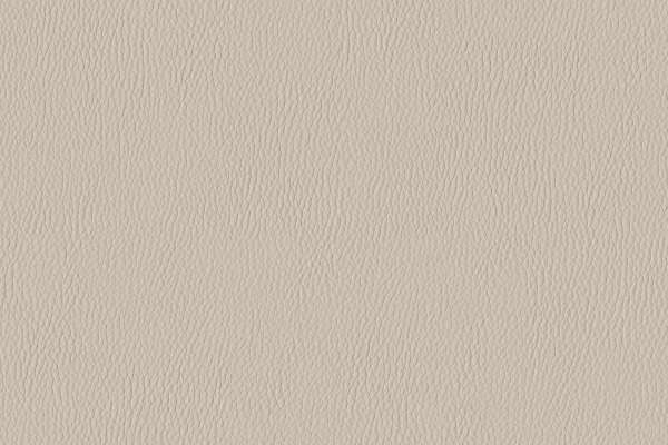 California Harbor Gray