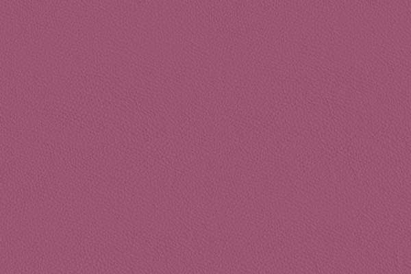 California Rhododendron