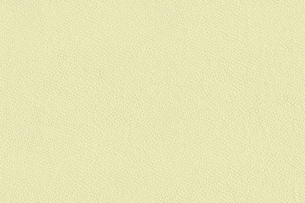 California Springtime