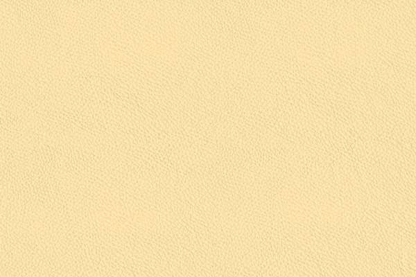 California Wild Honey