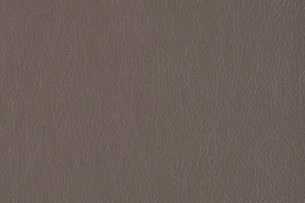 Decoy Parallel
