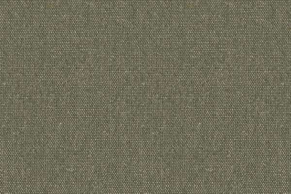Album Spruce