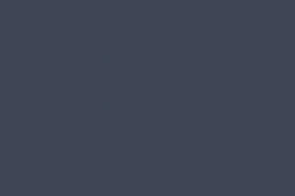 Apt Nocturnal Apt Nocturnal