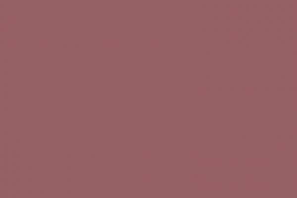 Apt Sorbet Apt Sorbet