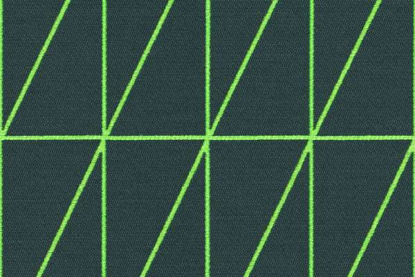 Bright Angle Evergreen