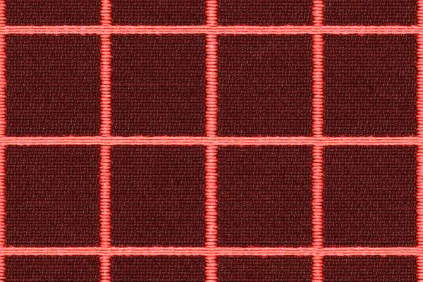 Bright Grid Raspberry