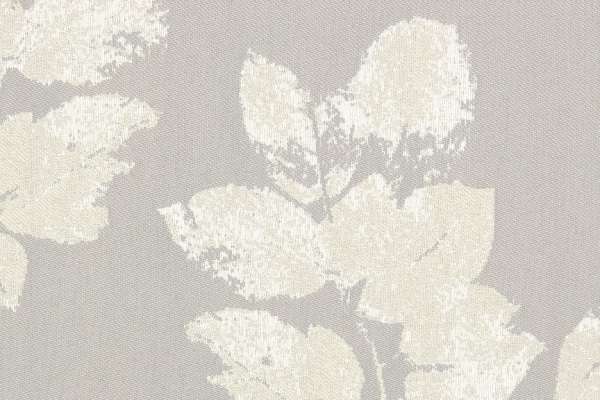 Canopy Lucine