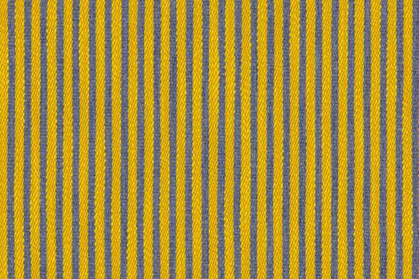 Concord Stripe Monitor