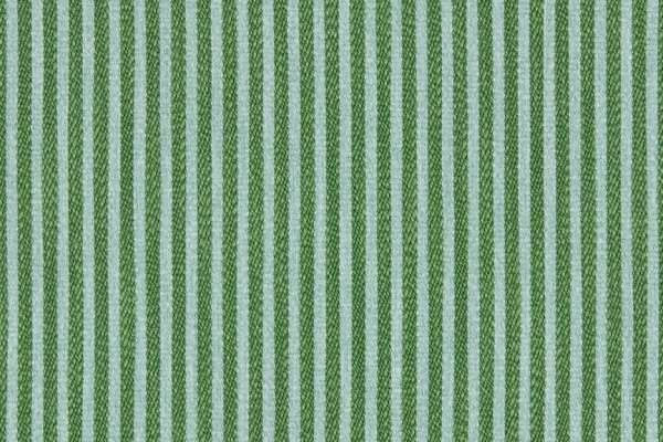 Concord Stripe Basilisk