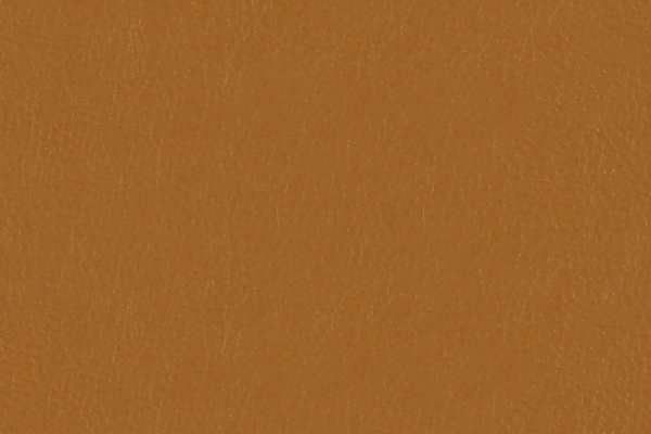 OFS - Lariat Camel