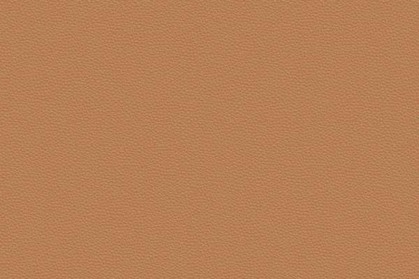 Prone Leather Bricolage