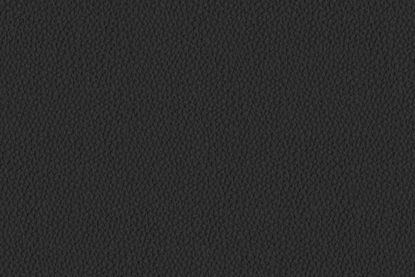 Raise Leather Black