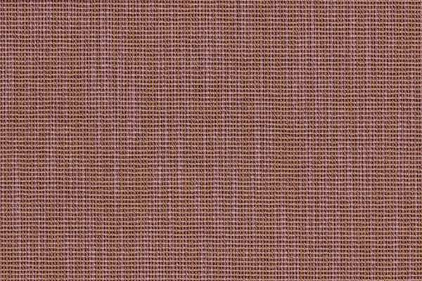 Ribbed Weave Pansy