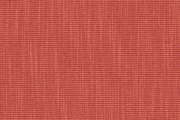 Ribbed Weave Zinnia