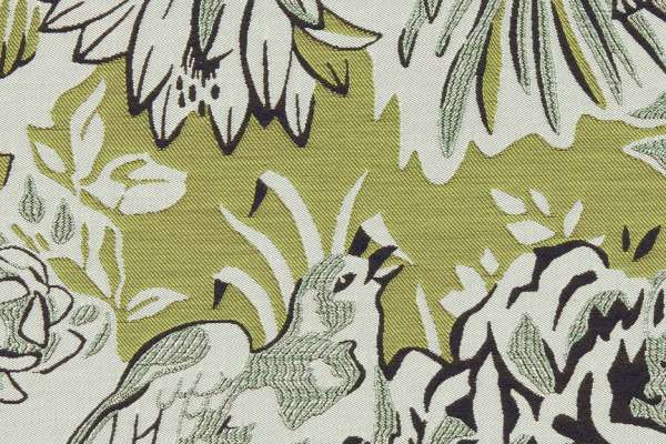 Songbird Finch