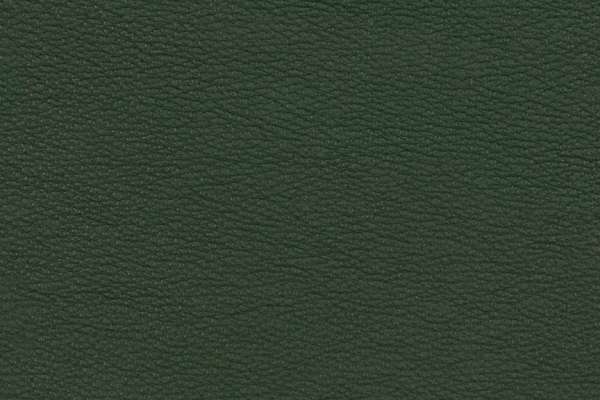 Stow Leather Holiday
