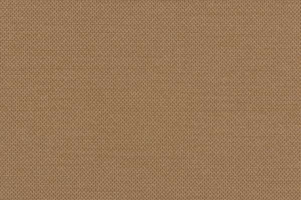 Structure Hazelnut