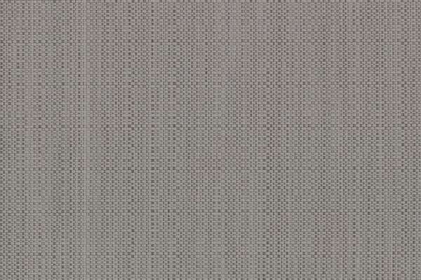 Switch Titanium