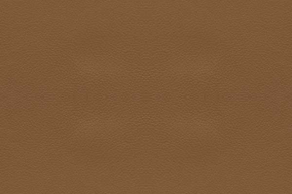 Cielo Marron
