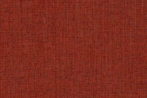 Artisan Barberry Artisan Barberry