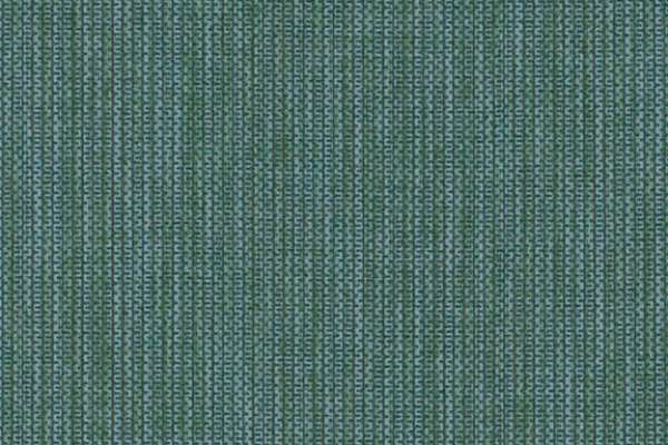 Box Chain Evergreen